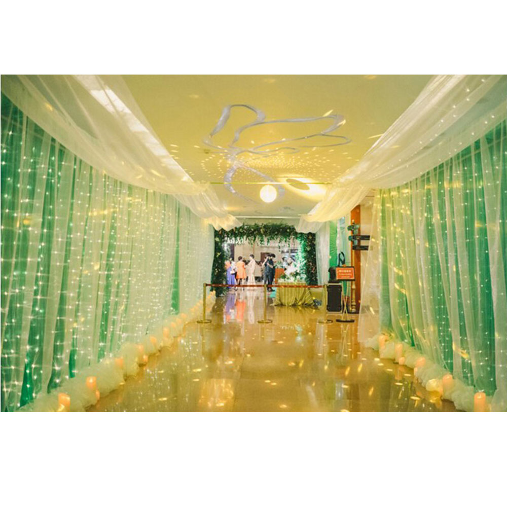 TaffLED Lampu Hias Gorden String Lights Wedding Decoration 3x3M - 300L