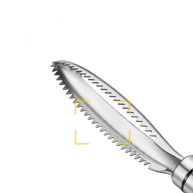LISM Pengupas Sisik Ikan Fish Scales Scraper Peeler Stainless Steel - FKW24
