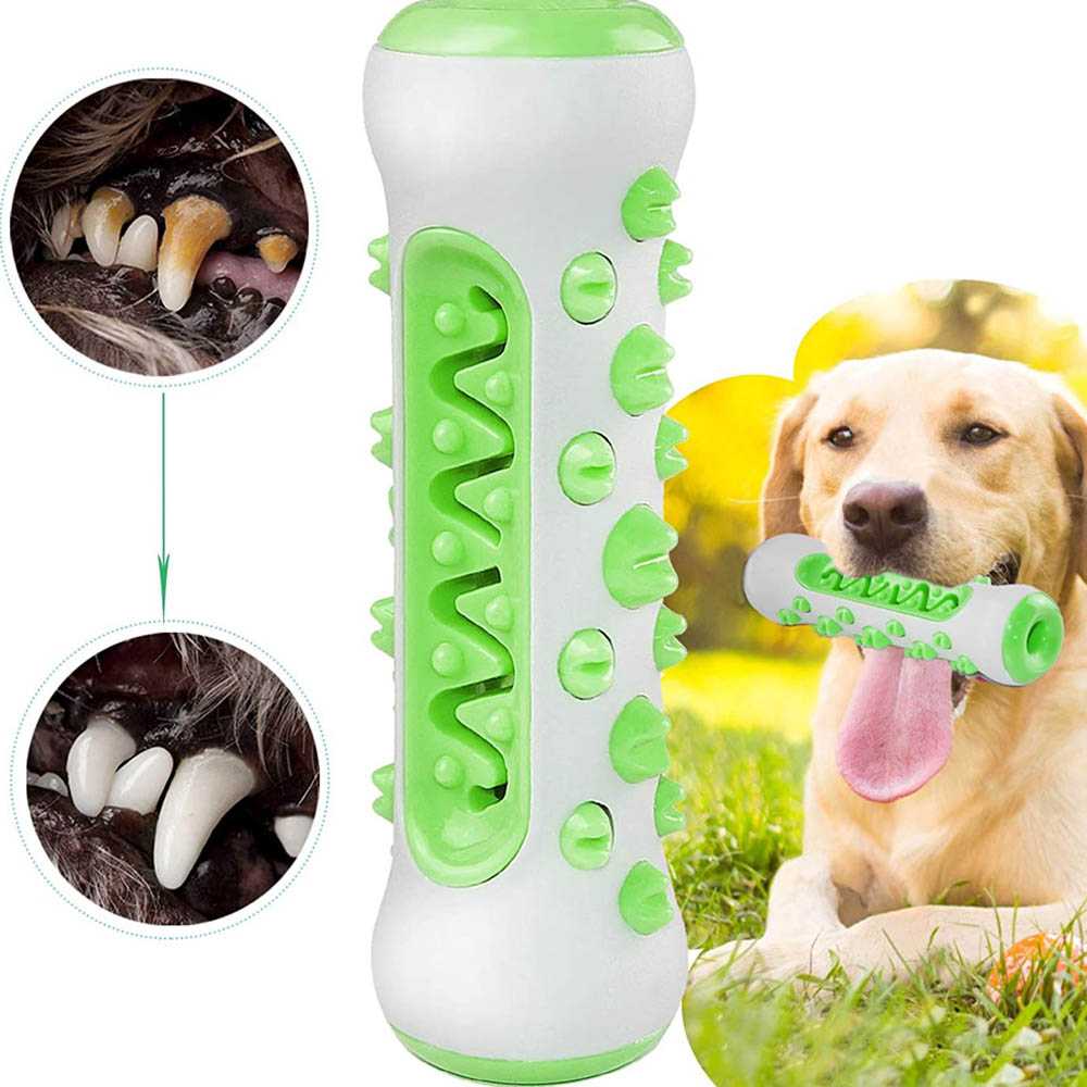 Jual Dog Toothbrush Bone Toy Mainan Sikat Gigi Anjing Peliharaan