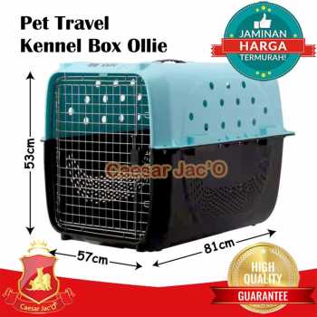 Jual Kennel Box Pet Carrier Ollie Hewan Anjing Kucing Travel