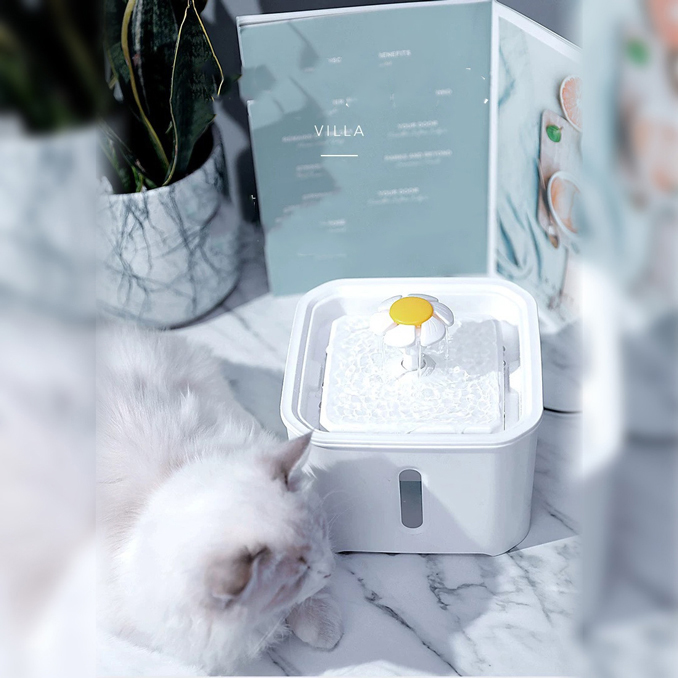 VILLA Water Dispenser Tempat Minum Anjing Kucing 2.5L - ZF19002