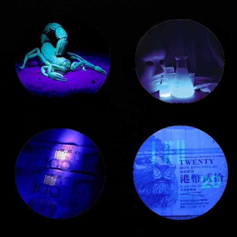 TaffLED Senter Ultraviolet 395nm 21 LED - UV-21