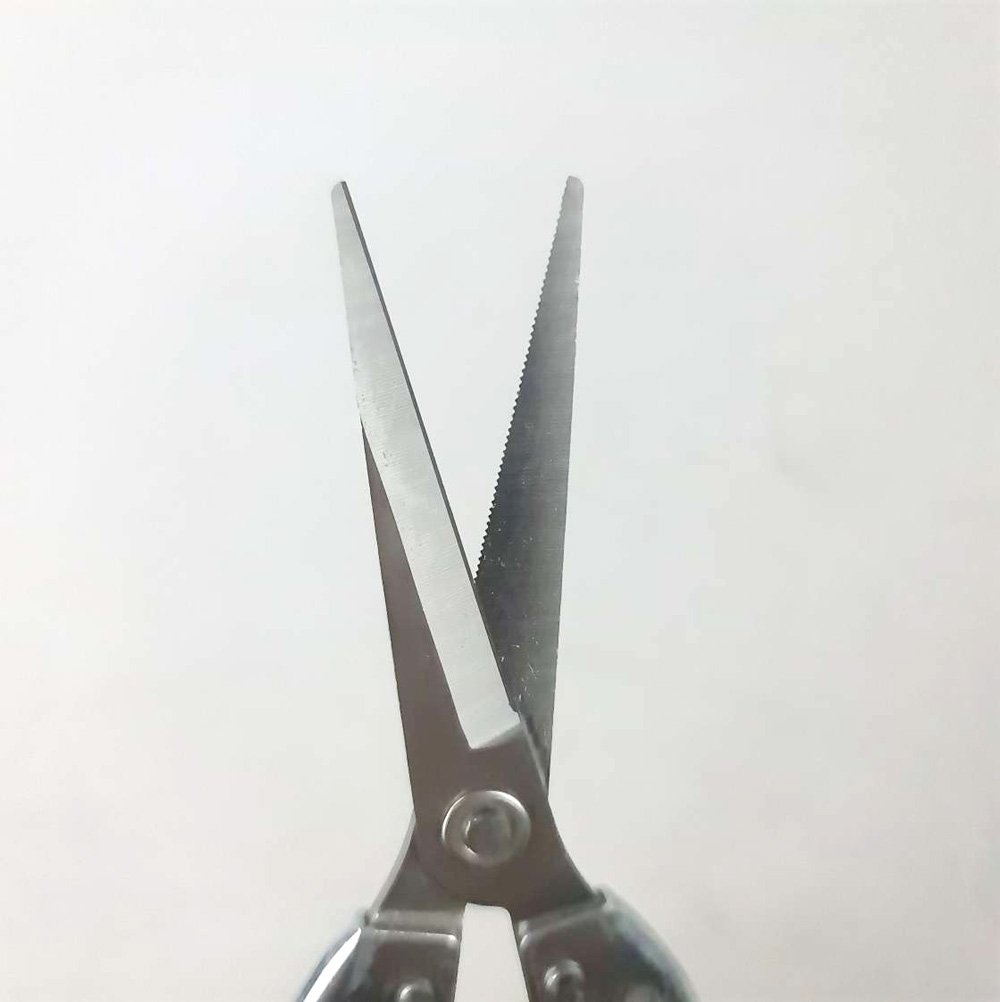 QIAOEN Gunting Tanaman Ranting Bunga Stainless Steel Pruning Scissors - SK-6