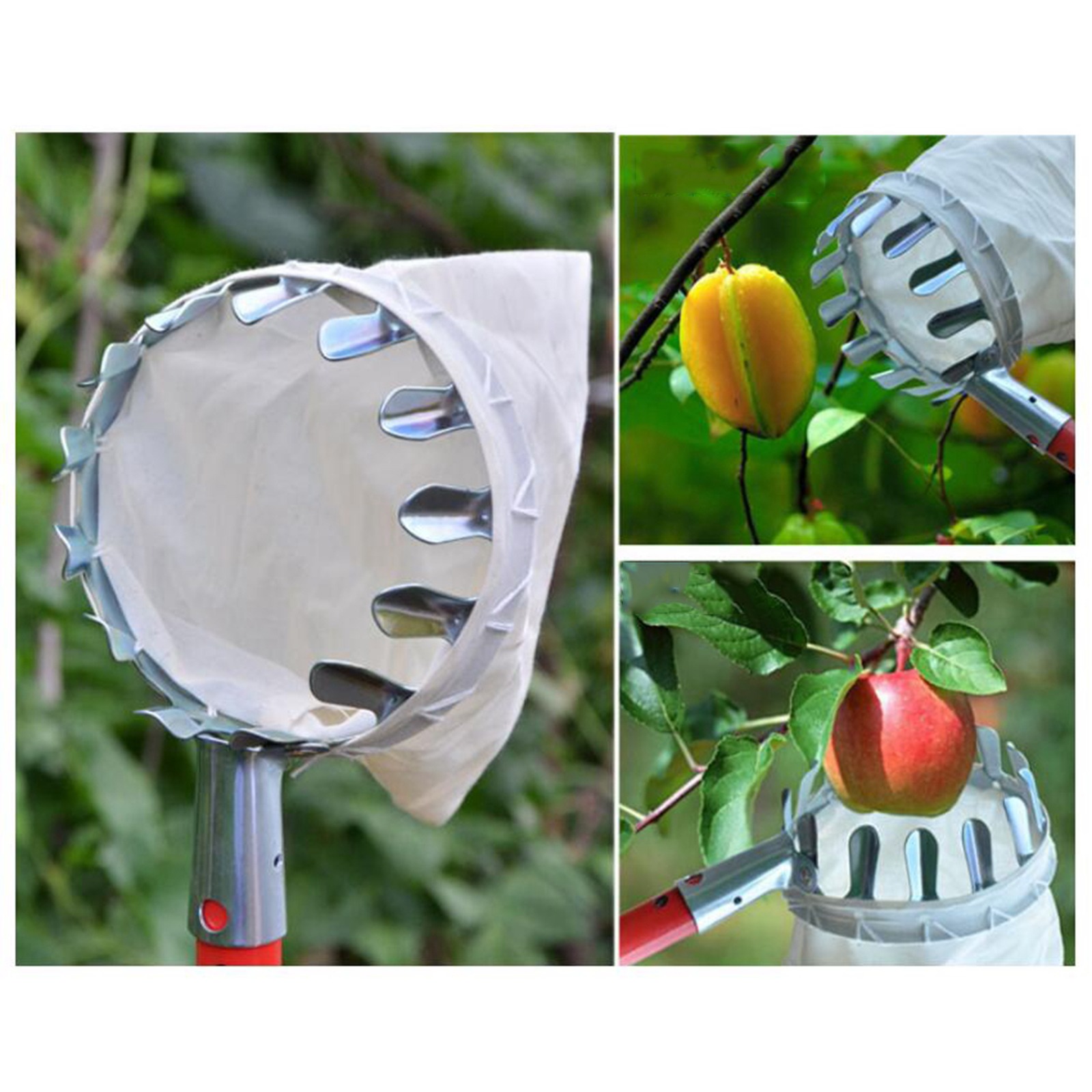 HOMYL Jaring Net Pemetik Buah Fruit Picker Collection Head - HM16