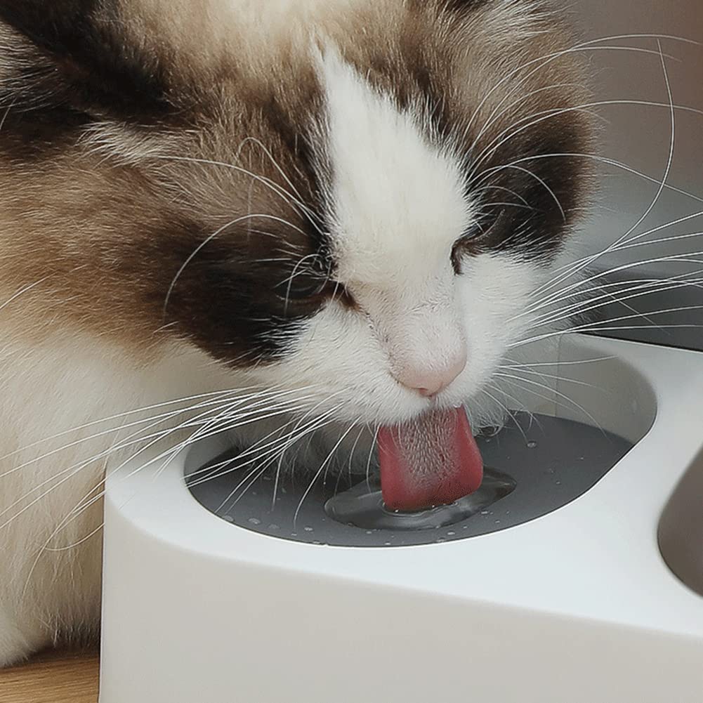 LYEAA Tempat Makan dan Minum Hewan Peliharaan Otomatis 2in1 2.8L - L18