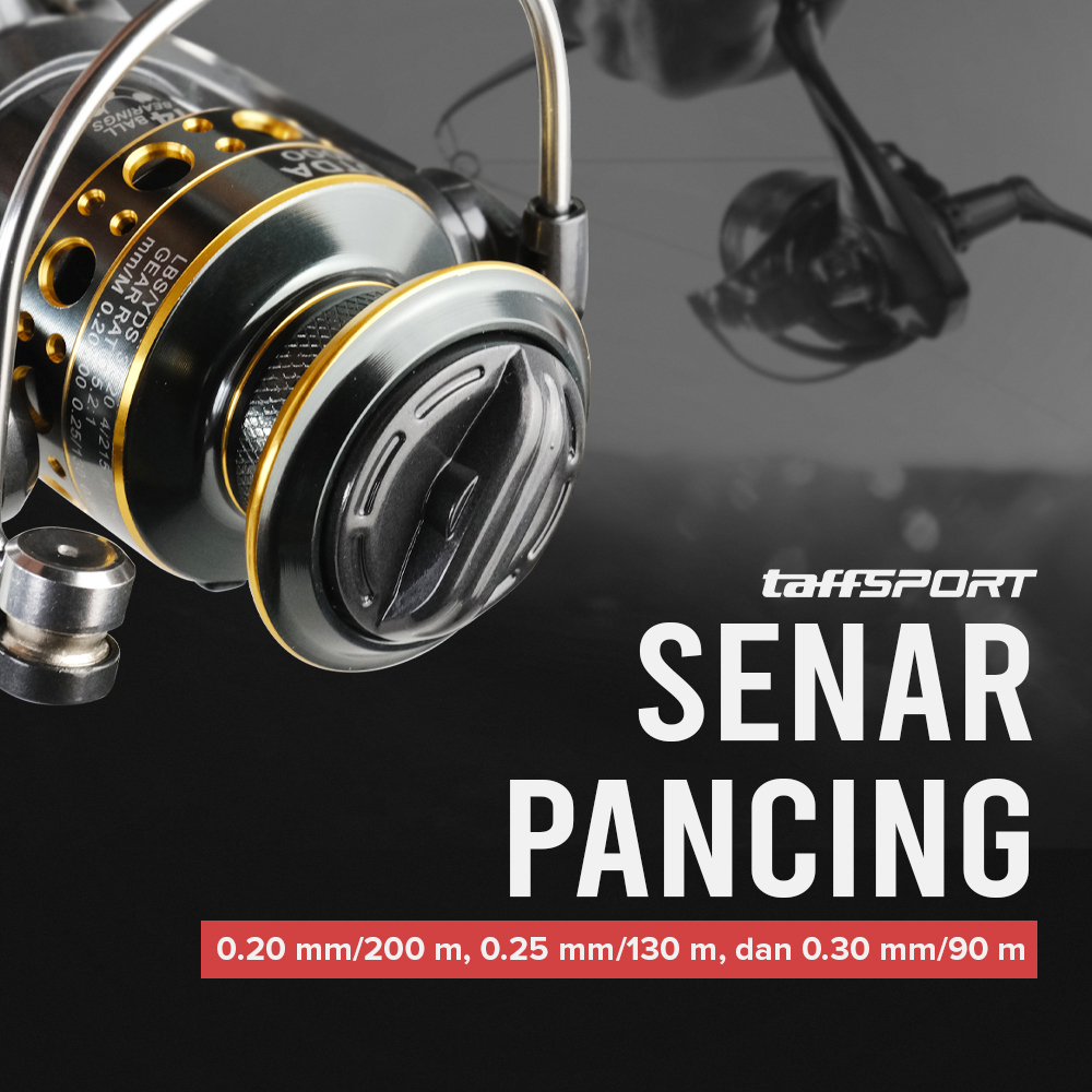 TaffSPORT GHOTDA Reel Pancing Spinning Fishing 5.2:1 BB 13 - BK2000