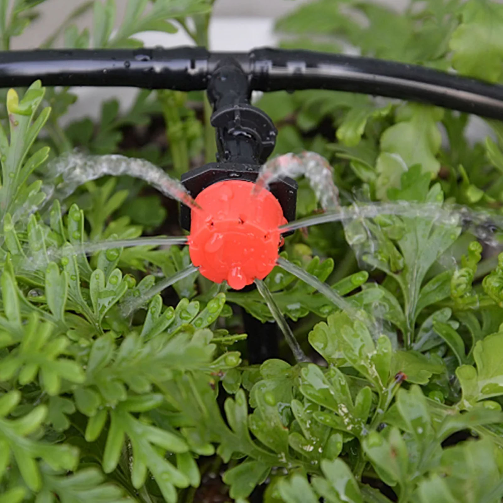 PENTA Dripper Irigasi 8 Hole Closable Watering Irrigation 100 PCS - P-8
