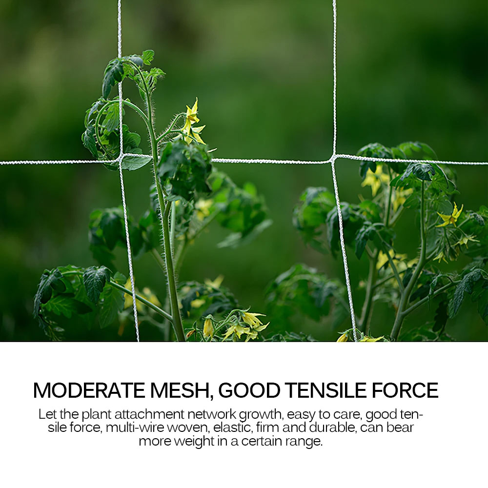 SEZENY Jaring Tanaman Rambat Plants Climbing Net Polyester 1.67x10M - A05009