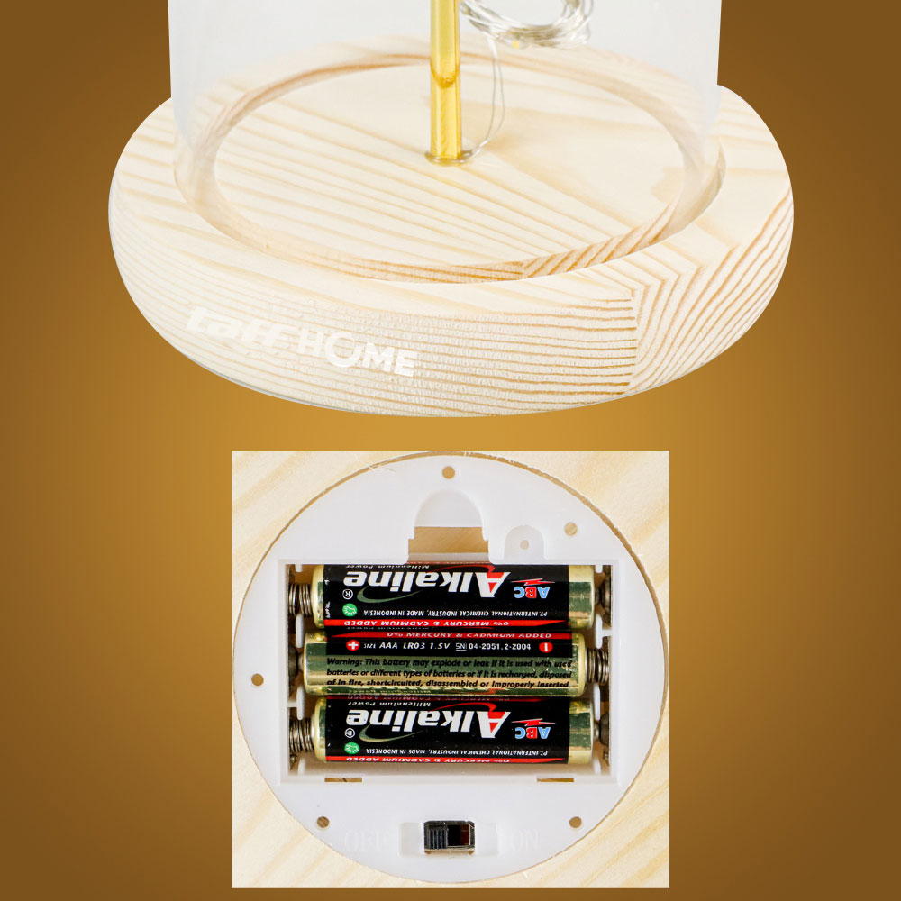 TaffHOME Lampu Meja Hias LED Mawar Beauty and The Beast Warm White - AC01
