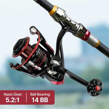 CHAOJIA Reel Pancing Spinning 14 Ball Bearing Fishing Reel 5.2:1 5000 - LK5000