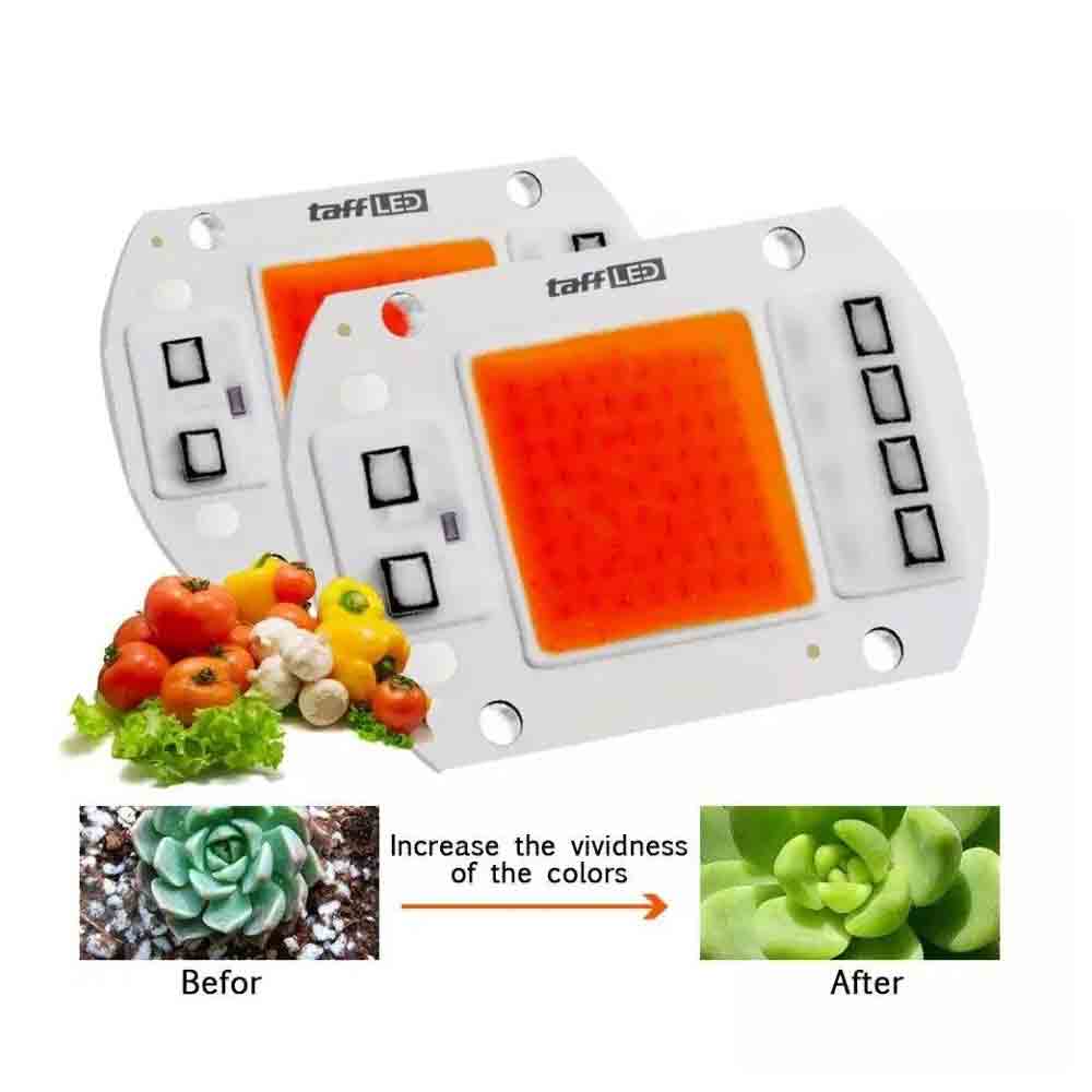 TaffLED Chip LED COB Lampu Tanaman Grow Light 1400K 50W 220V - YO-50