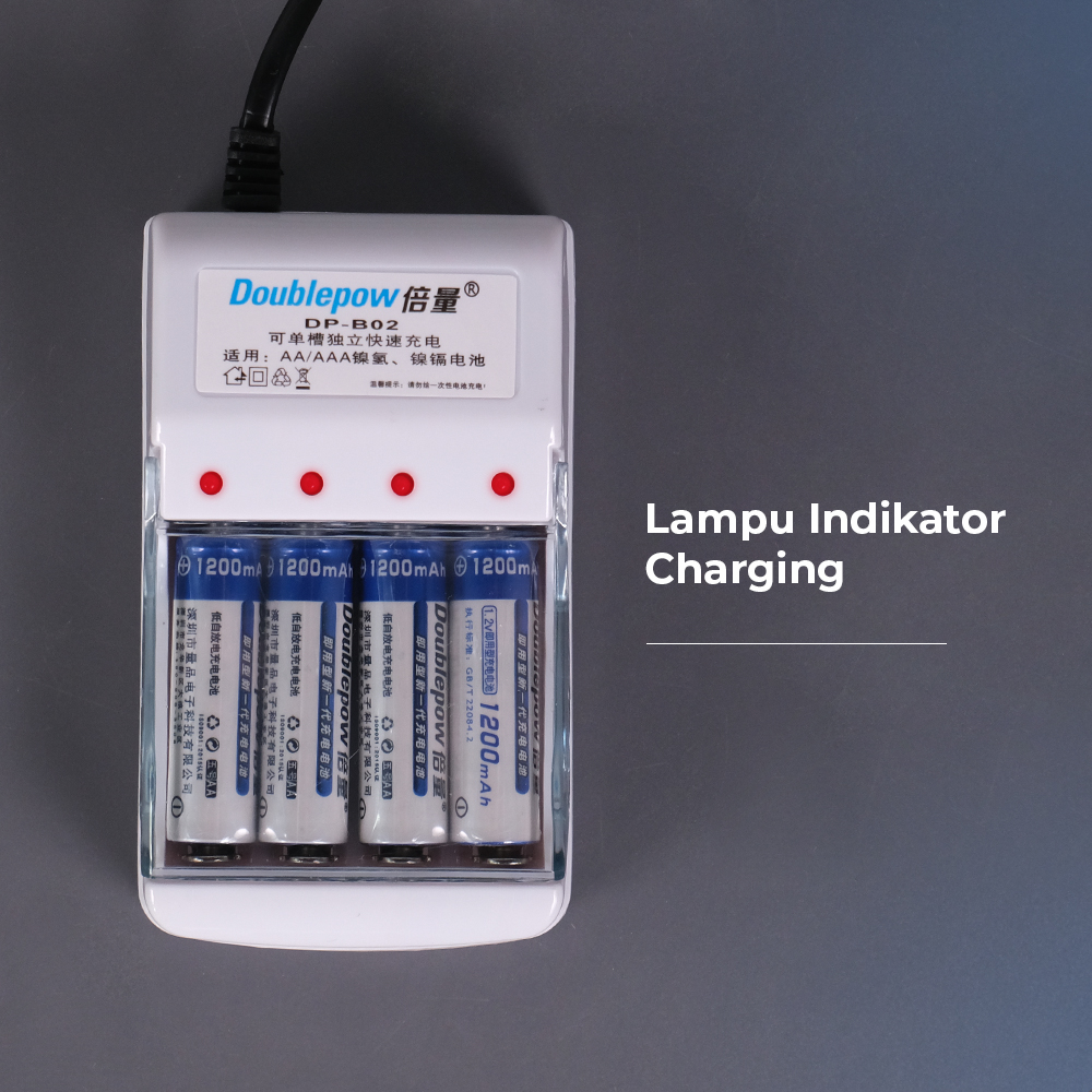 Doublepow Charger Baterai 4 Slot AA AAA Ni-MH Ni-CD with LED - DP-B02