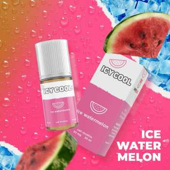 Icy Cool Saltnic 30ml 30mg - IcyCool Liquid Vape by Vape Dojo