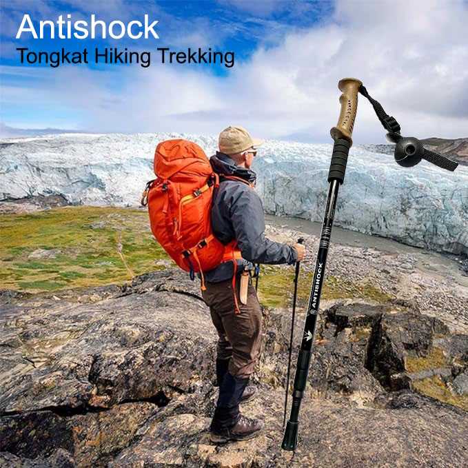 Jual Antishock Tongkat Hiking Telescopic Trekking Pole Aluminium