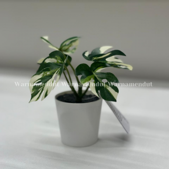 Tanaman Tiruan Artifical Mini Monstera Variegata Dlm Pot 6cm WM IK3207