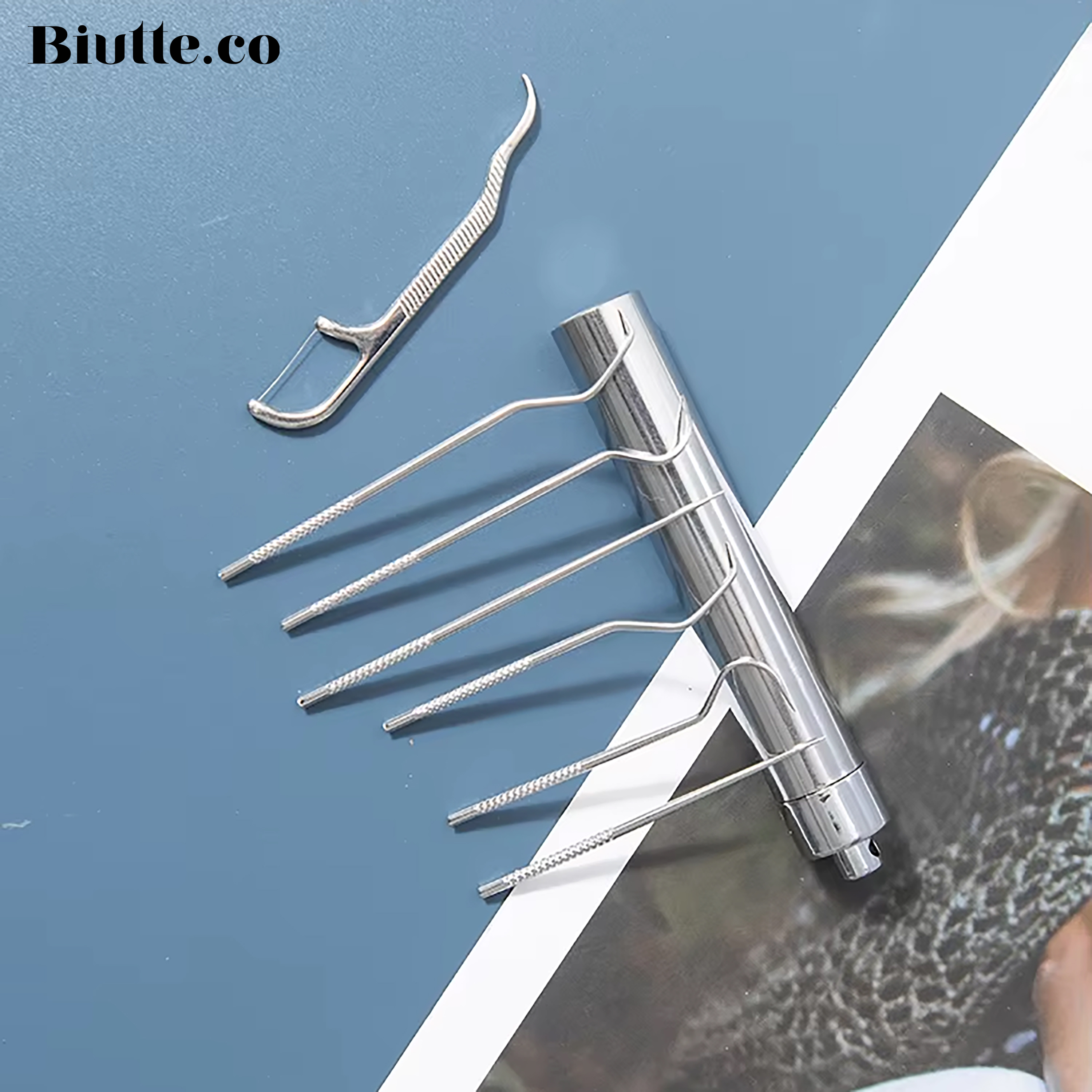 Biutte.co Tusuk Gigi Stainless Steel Toothpick Portable Carry 7 PCS - TP0554304