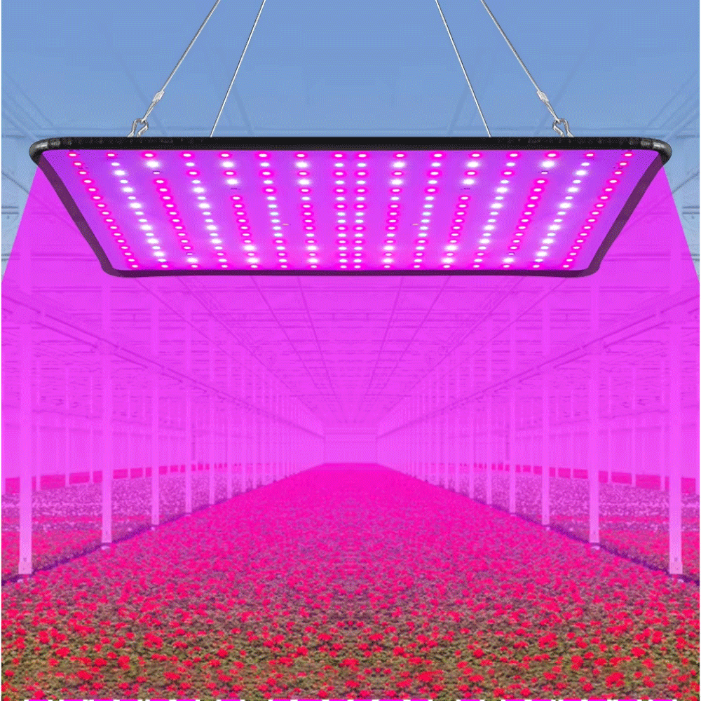 ZAHORIO Lampu Tanaman LED Grow Light Full Spectrum Lamp SMD 2835 25W - QRCP-00068