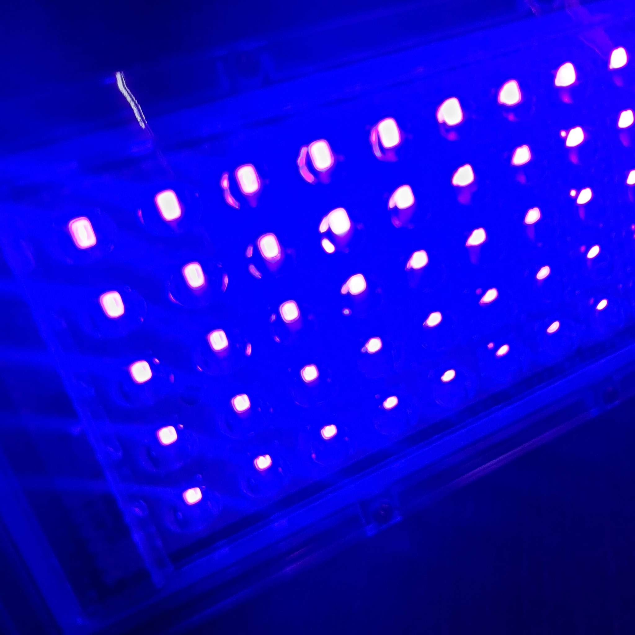 YCRAYS Lampu Sorot LED Floodlight Waterproof UV Ultraviolet 395nm - YC01