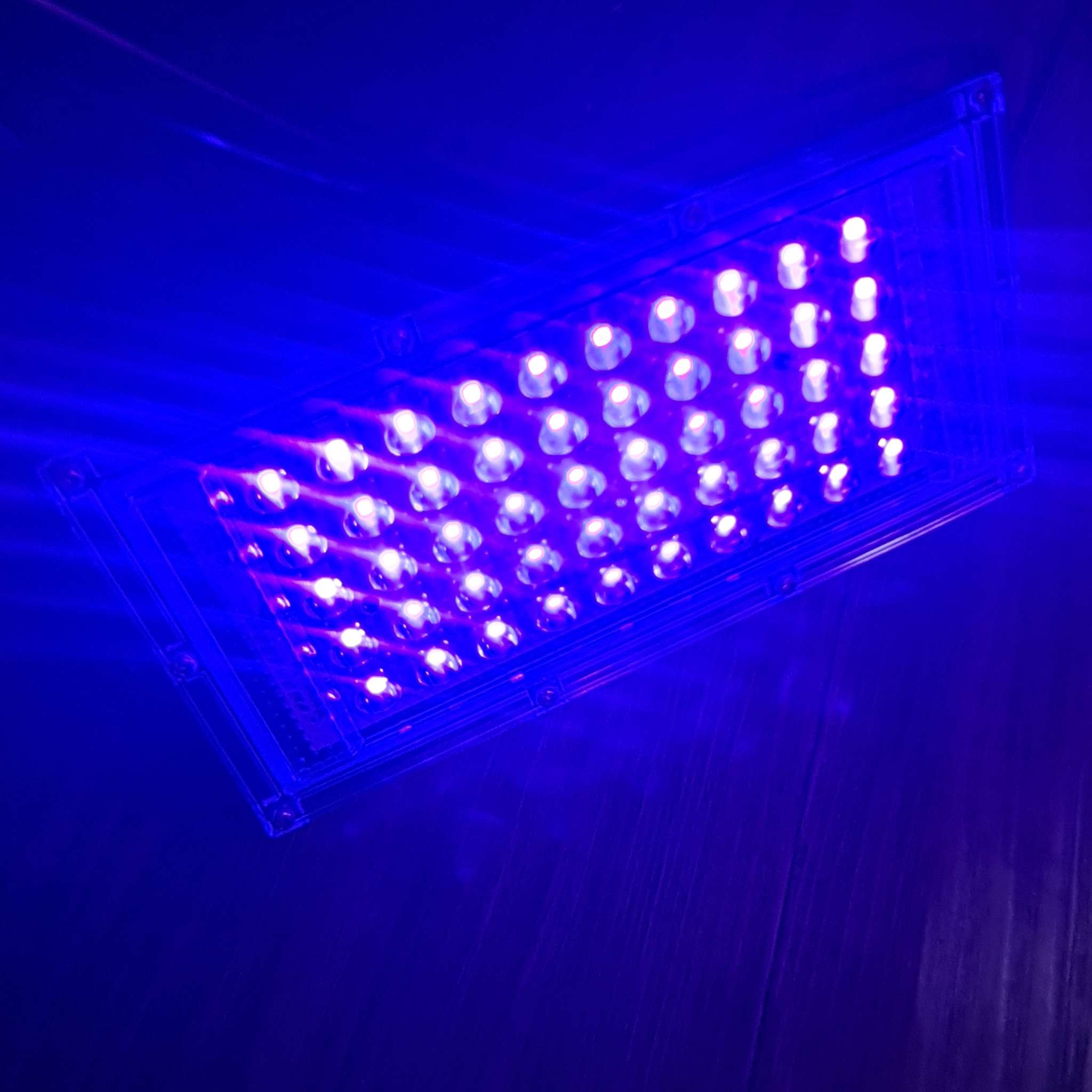 YCRAYS Lampu Sorot LED Floodlight Waterproof UV Ultraviolet 395nm - YC01