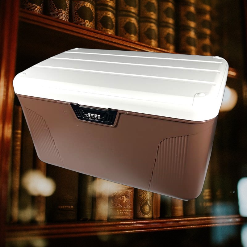 TEDEY Kotak Brankas Safety Box Portable Password - 8875