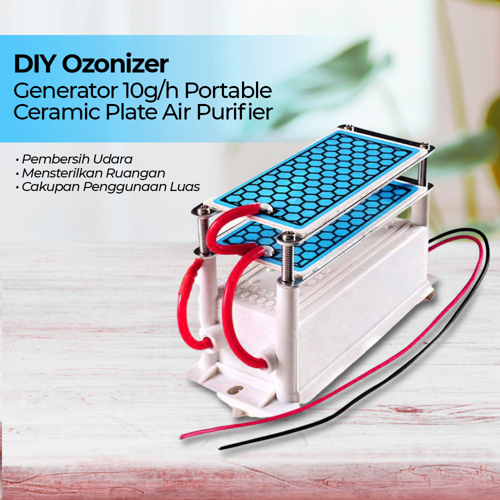 Ozonizer DIY Ozone Generator 10g/h Portable Ceramic Plate Air Purifier - CRAC220V10G