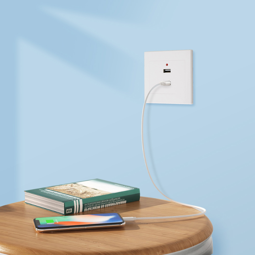 Taffware Stop Kontak Dinding 2 Port USB Wall Socket 2.0A - ES-USB-2