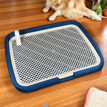 Jual Dururui Tempat Pipis Anjing Kucing Pet Training Potty Tray