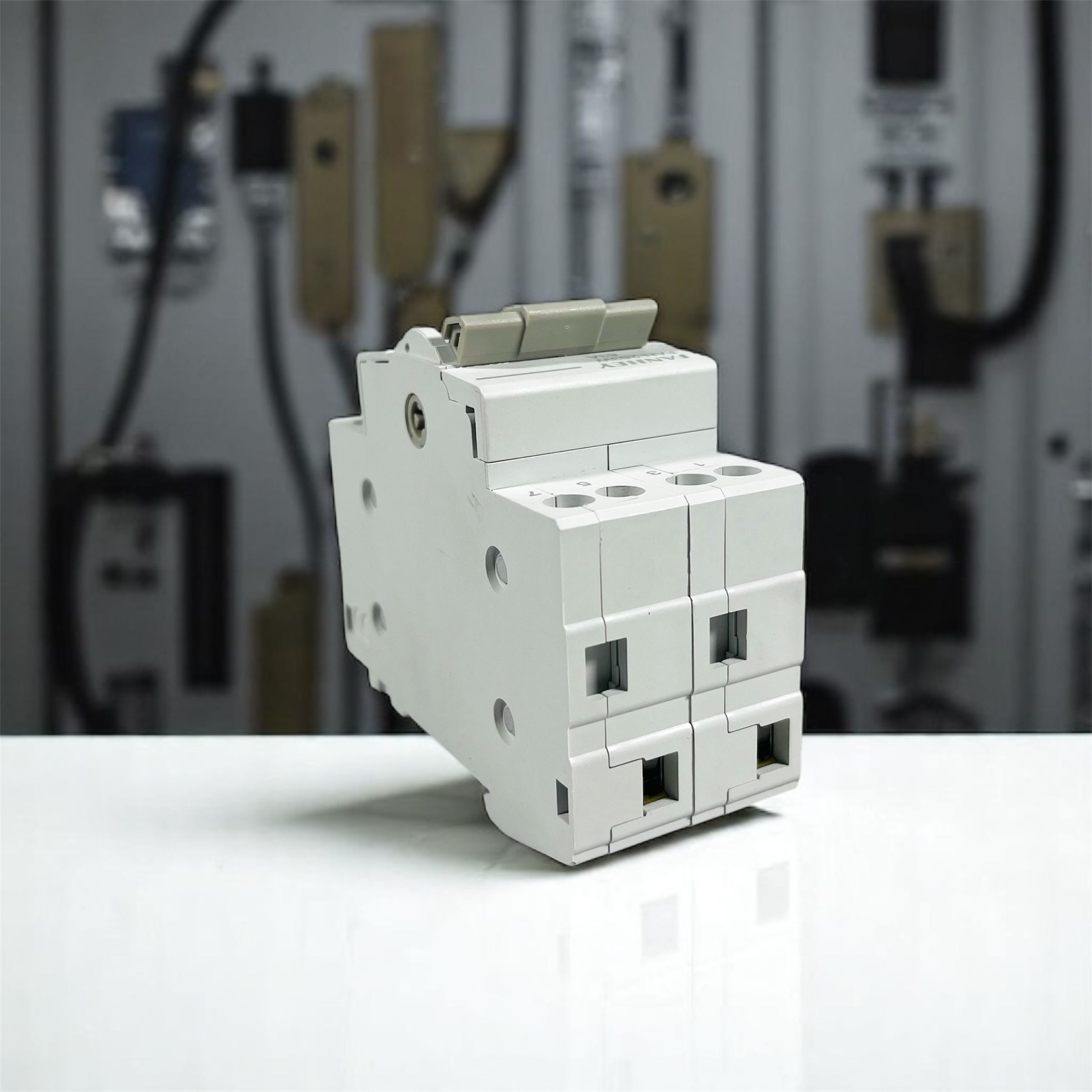 FANHEY Saklar Circuit Breaker 2P Transfer MTS Dual Power Switch 63A - FAN-263W