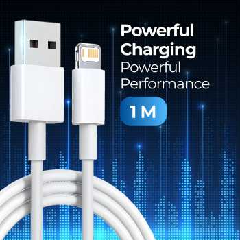 Apple Original Kabel Data Lightning Multifungsi 1M - AO11