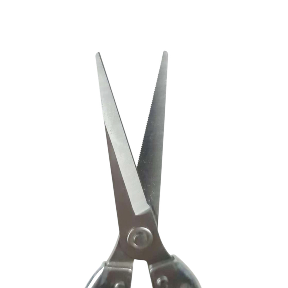 QIAOEN Gunting Tanaman Ranting Bunga Stainless Steel Pruning Scissors - SK-6