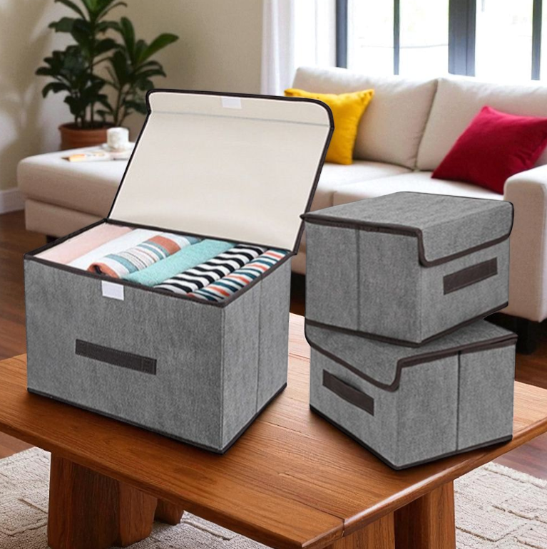 DIMJ Kotak Penyimpanan Pakaian Box Organizer with Flip-Top Lid - G601
