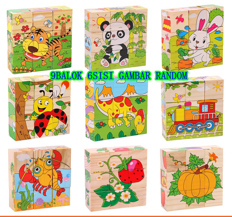 MAINAN PUZZLE KAYU BERGAMBAR 6IN1 JIGSAW 3D