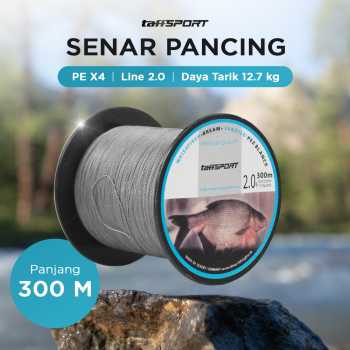 TaffSPORT Senar Pancing PE 4 Braided Strand Fishing Line 300M - DM3