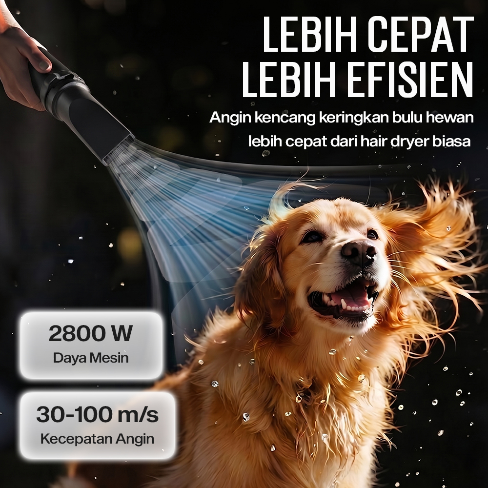HEAN Pengering Bulu Kucing Anjing Hair Dryer for Pets Fast Blow 2800W - ZF-YC-C-04