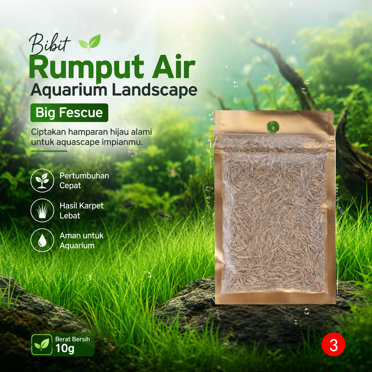 TaffHOME Bibit Rumput Air Dekorasi Aquarium Landscape Ornament 10g - H0027