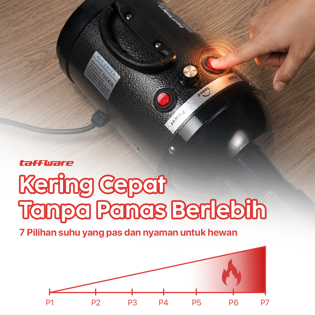 HBlow Pet Hair Dryer Dog Cat Grooming Stepless Speed 3200W - SH-168